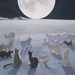 雪山の猫達　Cats in the snowy mountains