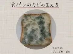 じゆうけんきゅう