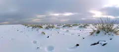 雪原に隠れるウサギを探せ！！