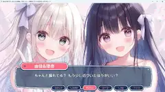 美少女ゲーム（偽）