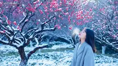 氷下の拍動：紅梅が告げる冬の終わりの体温