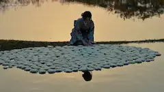悠久の静寂：水面に揺れる白菊の祈り