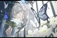 酔蝶花「白紫」