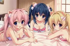 3匹の雌豚