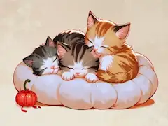 すやすや子猫