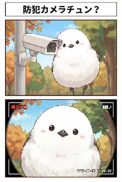 防犯カメラチュン？