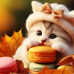 猫とマカロン