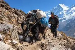人間よ、なぜ山へ行く？いい迷惑なのだ