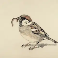 今更ですが「すずめ」