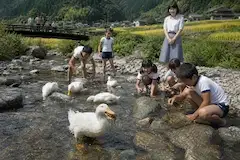 いきものがかり