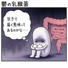 鬱の乳酸菌