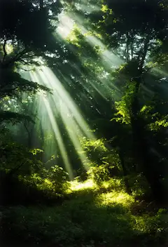 チンダル現象っぽいやつ