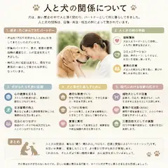 人と犬の関係について纏めてください。