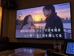 カラオケのPVでよく見るアレ