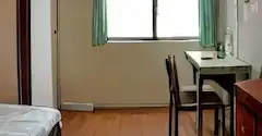 毛玉