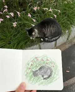 猫のスケッチ