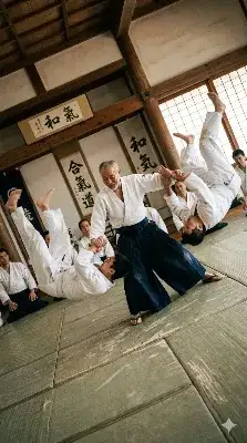 合気道の達人
