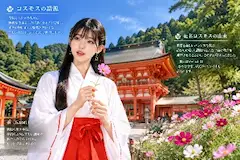 コスモスの語源