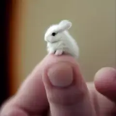 指の上のとても小さなふわふわの白うさぎ
