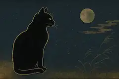 月夜に囁く黒猫の秘密