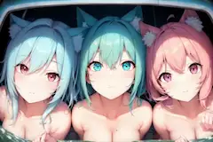 にゃんこ３姉妹