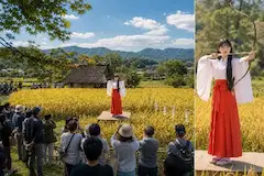巫女装束の案山子で人を集める