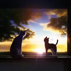 遠い夏の日