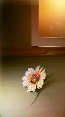 窓辺に残された優しい記憶の花