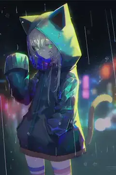 雨の日の猫