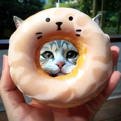 猫ドーナツ猫